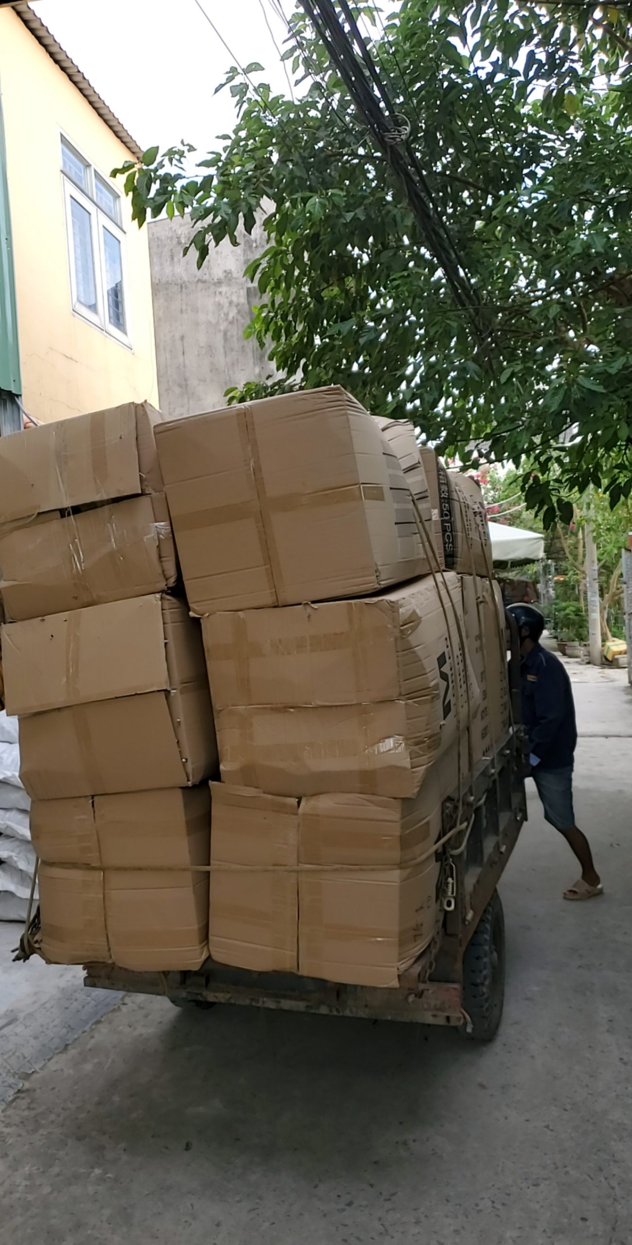 IMG_UPLOAD_20201126_081029