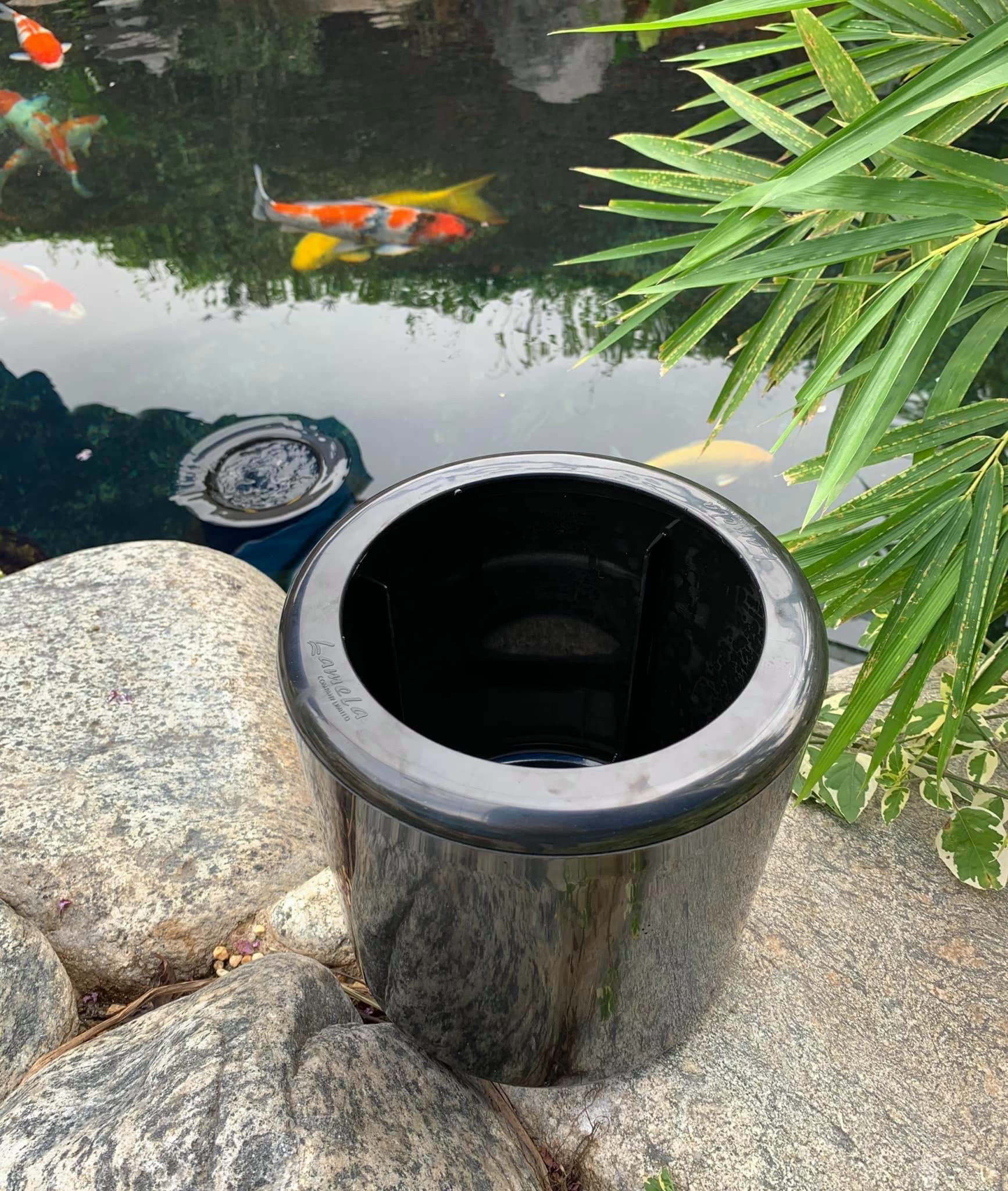 z3219451147976_3b09bb7ab716b2c6c69b2957d887350d