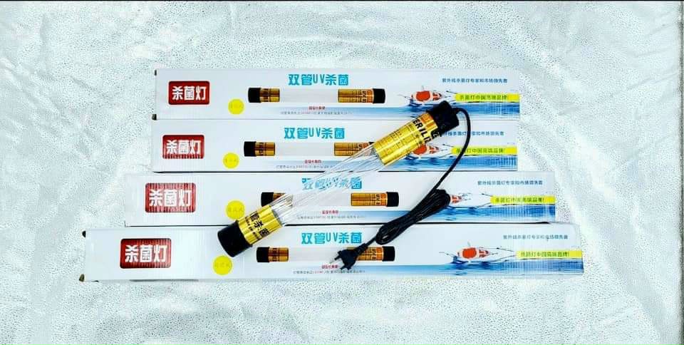 z3219584462473_e193ca15088663bc3ccf891d622808f2