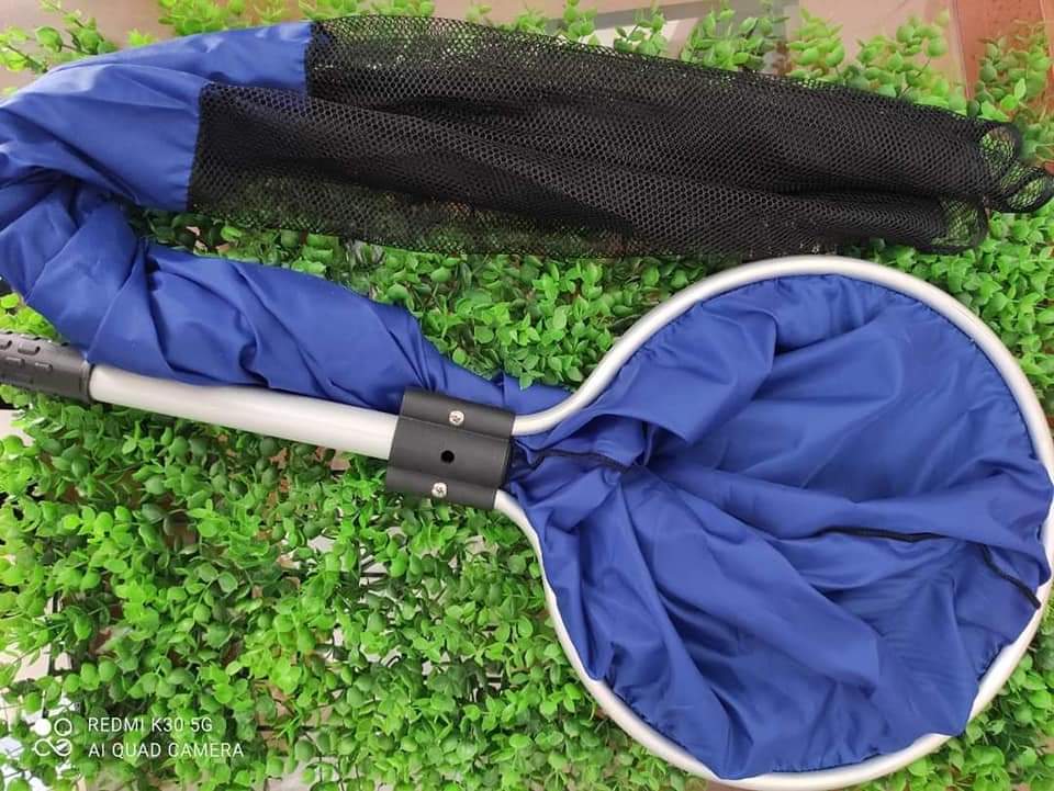 dbbcf8f1038fccd1959e