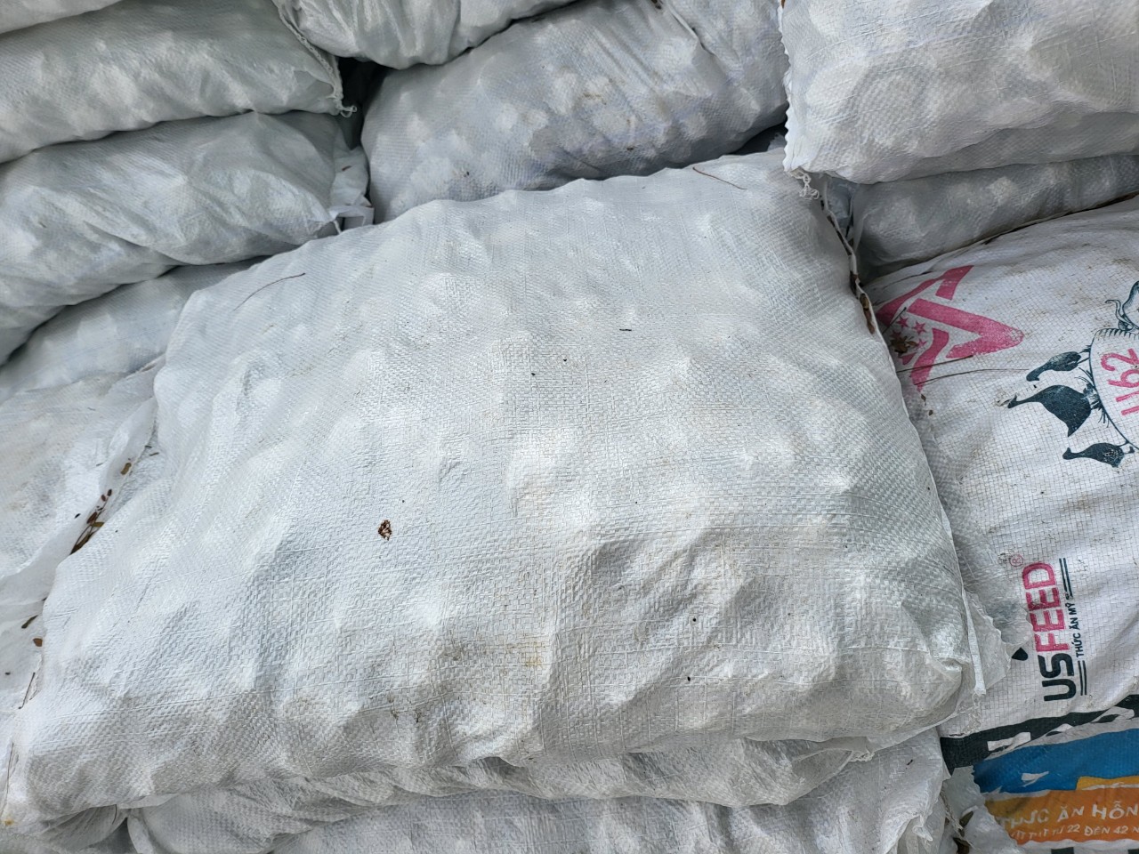 z3238630977611_82db2ce0df03184cd49f1903f272f9e2