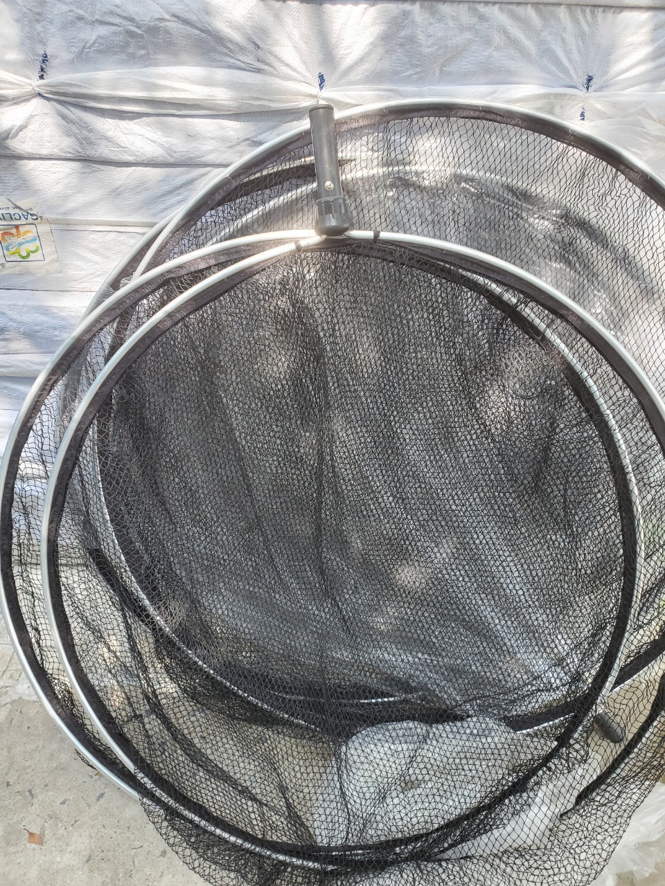 z3239252230050_6d1c5098a38006d1347a279743453bd6