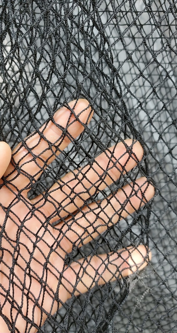 z3239254250791_24721bd81ba8363424a9fdd7a18987f9