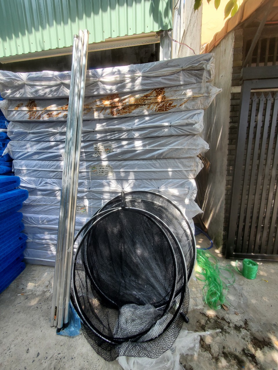 z3239254267727_890cf7a9412a6c9668fb694f38fde85f