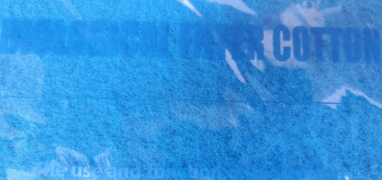 z3239554652529_74a5ac68e1e2a13f665a1cb6a9d0772e