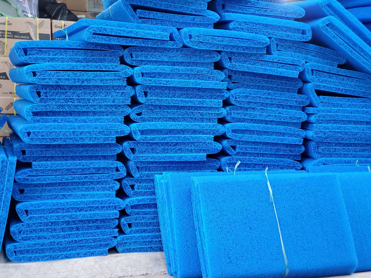 z3239554700612_785294e098f2d7188ef9dbd97aa61e78