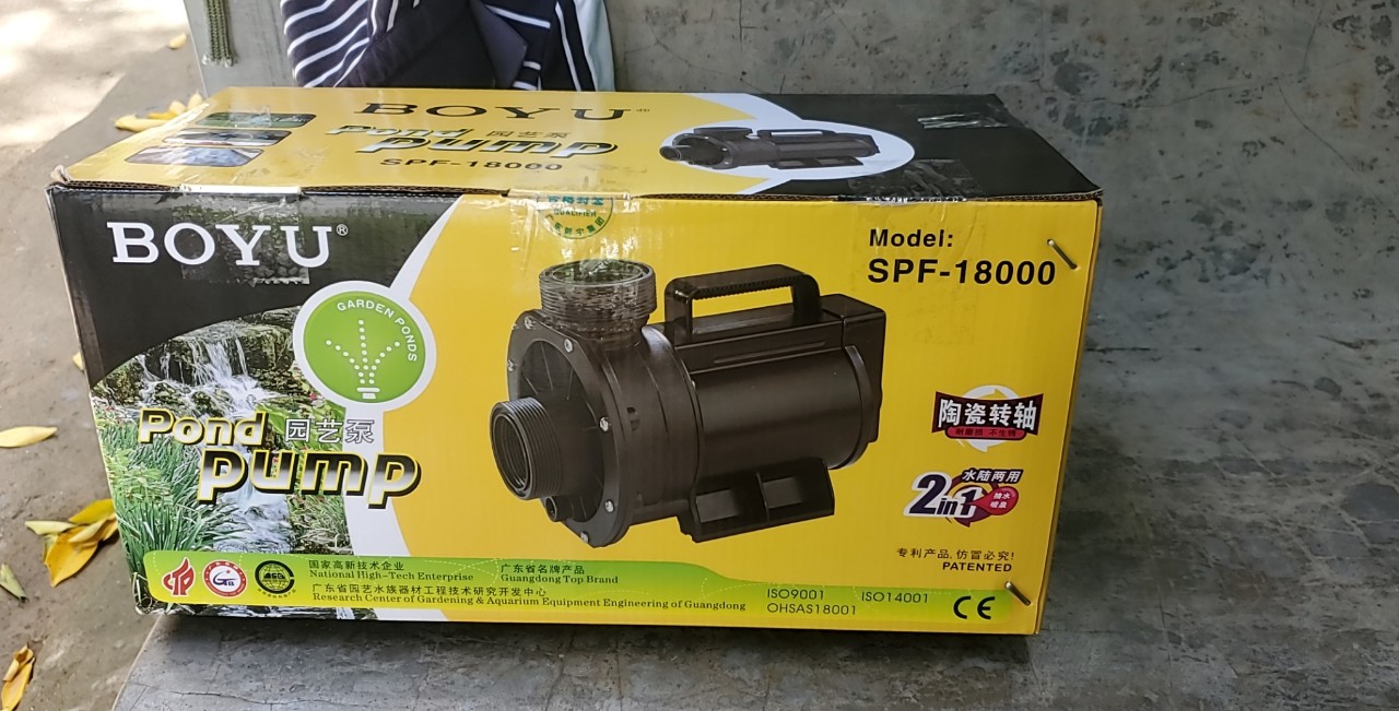 z3609384250427_e1a903357f7f29135293a6fe16341654