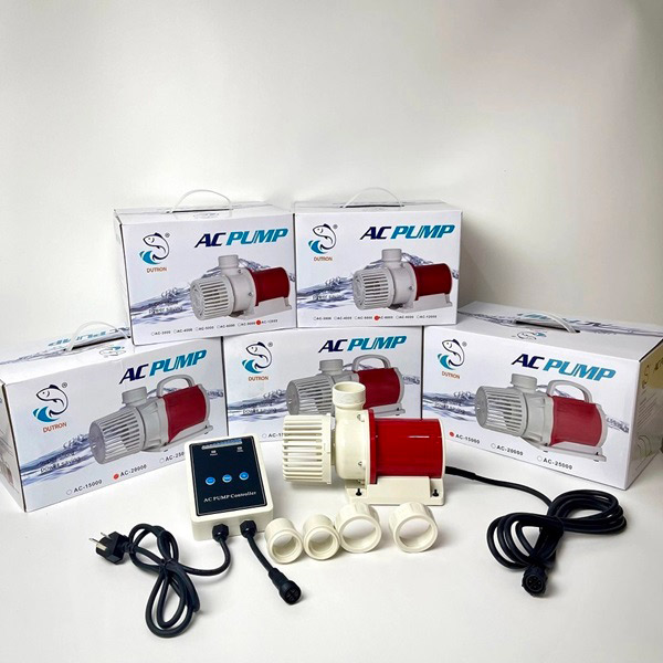 Máy Bơm Enjoy Royal AC PUMP 6000