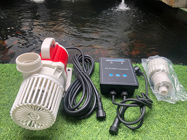 Máy Bơm Enjoy Royal AC PUMP 6000